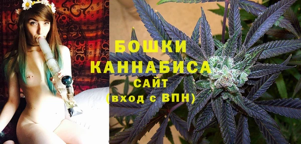 PSILOCYBIN Бугульма