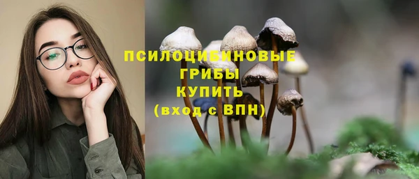эйфоретик Богородск