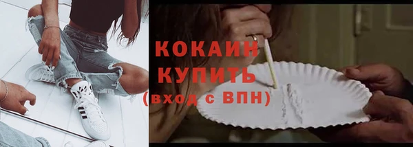 кокс Богородицк