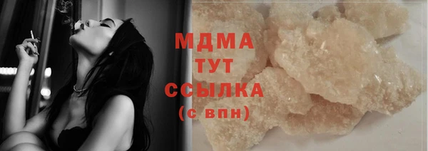 гидра Инта