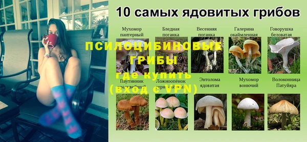 кокс Богородицк
