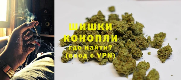 эйфоретик Богородск