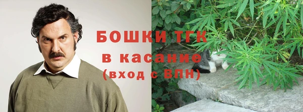 ешки Бронницы