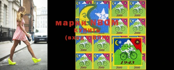 кокс Богородицк