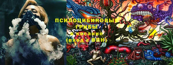 эйфоретик Богородск