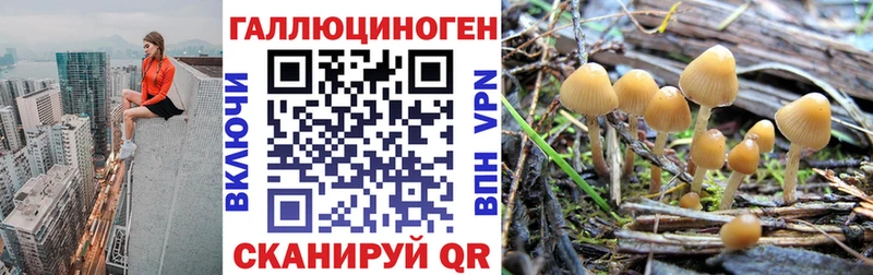 Псилоцибиновые грибы ЛСД  Данилов 