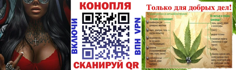 Бошки марихуана MAZAR  дарнет шоп  Данилов 